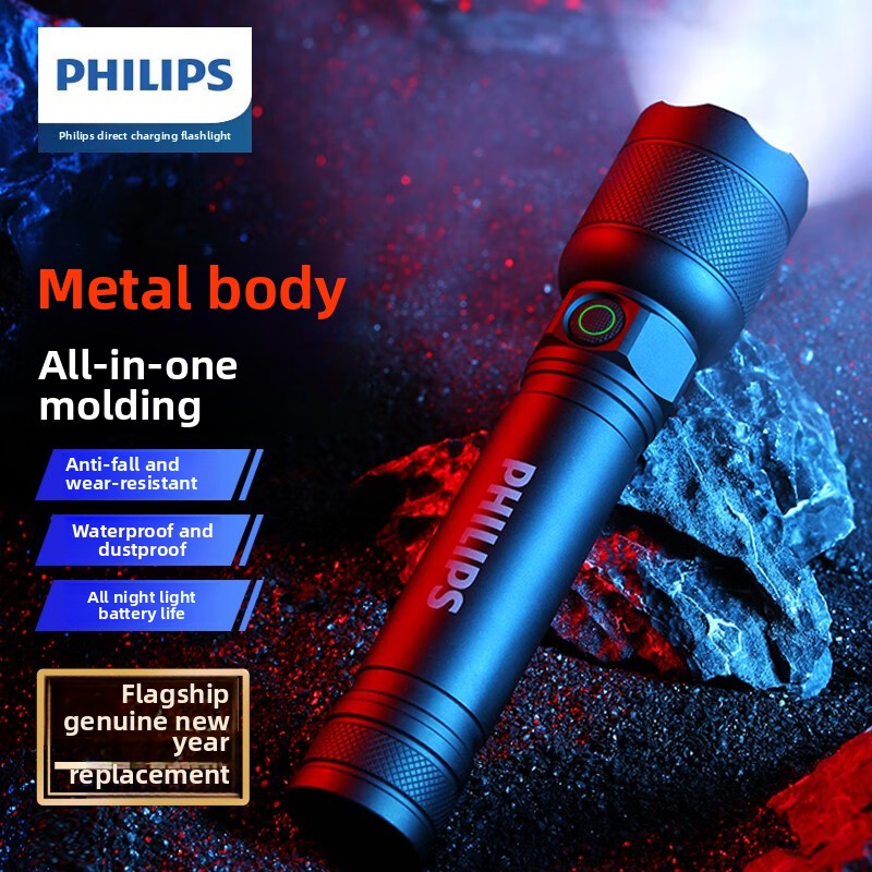 Outdoor Lighting Ideas - 2025 NEW Philips SFL2188 LED Aluminum
