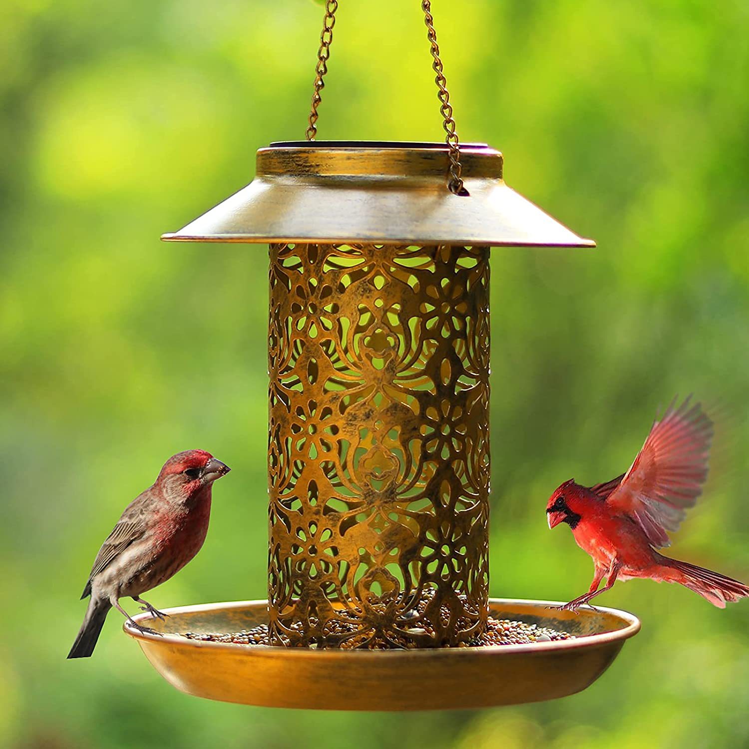 Outdoor Lighting Ideas For Backyard - Hanging Bird House Metal Outdoors Solar